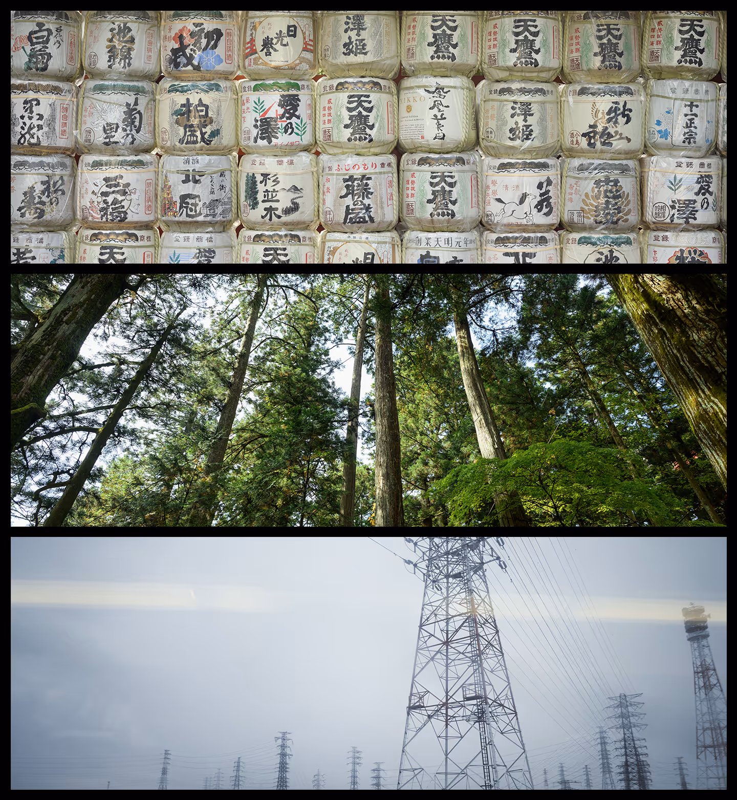 Three horizontal panels: stacked Japanese sake barrels with kanji, tall green forest trees, and metal electrical transmission towers under a cloudy sky.