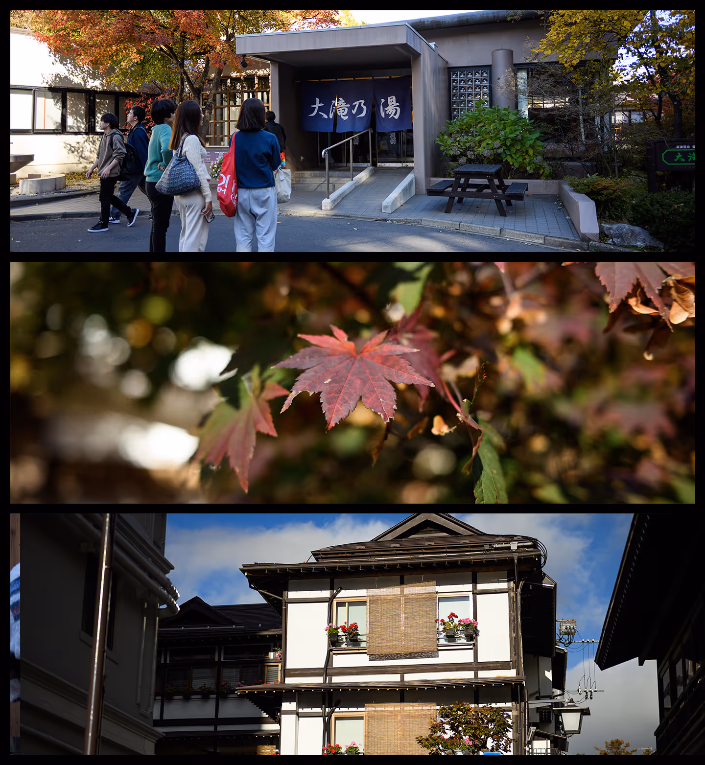 Collage of three images: a group of people entering a building with Japanese entrance curtains, close-up of red maple leaves, and a traditional Japanese-style house with flower boxes on a sunny day.