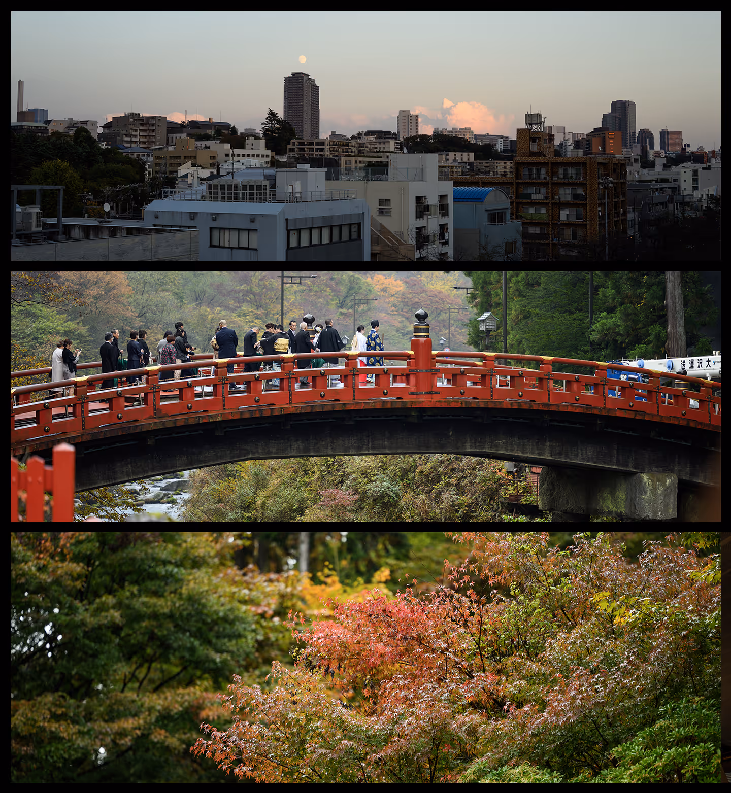 Collage of three images: evening cityscape with moon above tall buildings, red bridge with people walking on it in a forest setting, and colorful autumn foliage in a lush green forest.