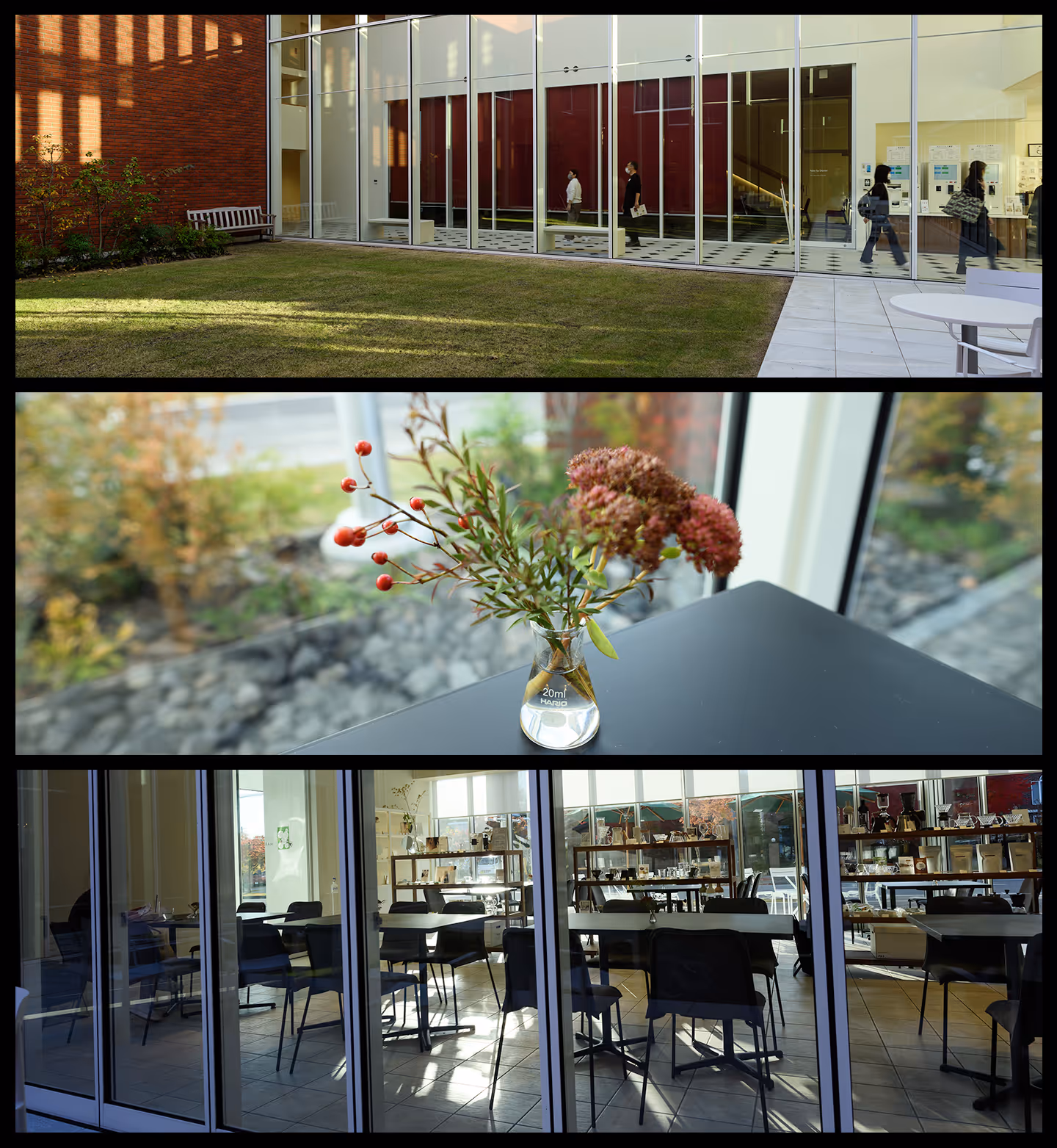 Three-panel collage with a grassy courtyard and people walking inside a glass-walled building at the top, a close-up of flowers in a glass vase on a table in the middle, and empty chairs and tables visible through glass doors at the bottom.
